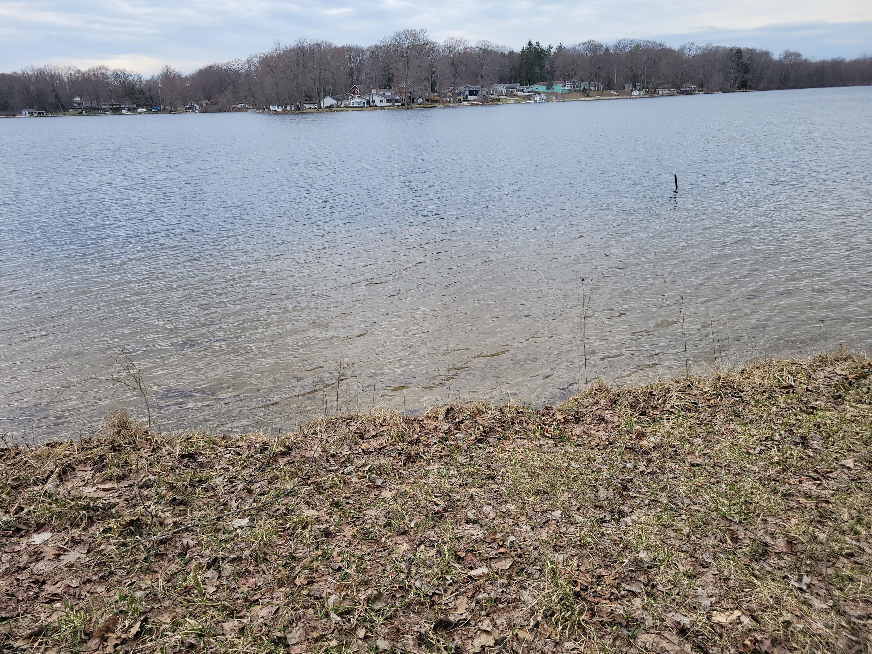 Image 4: 20260315_150626