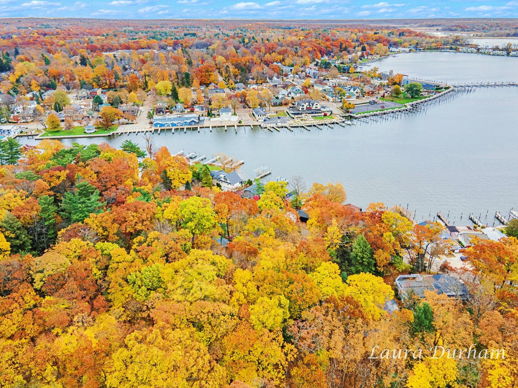 Image 2: LJD002_dji_0072