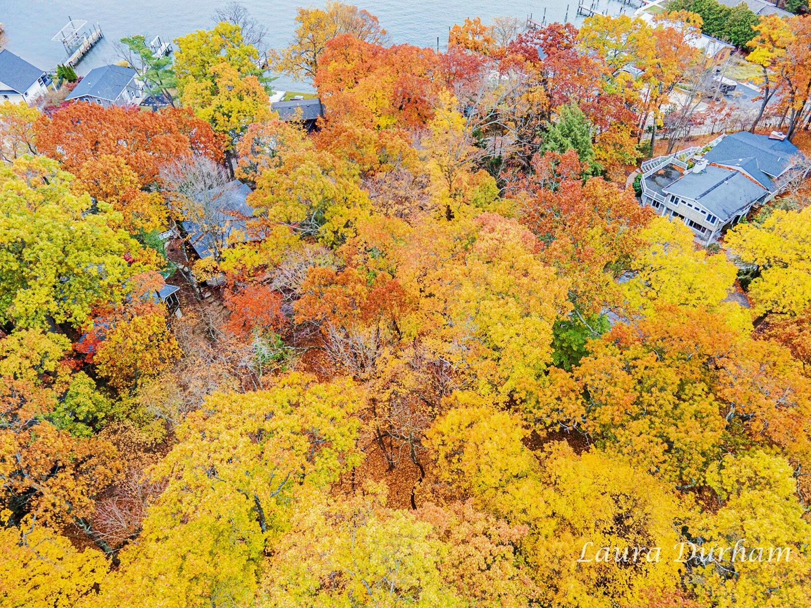 Image 3: LJD001_dji_0071