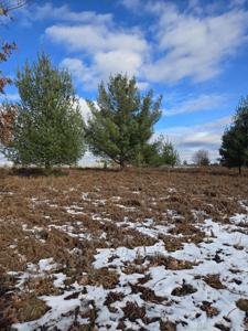 Lot 895 Lake Miramichi Drive