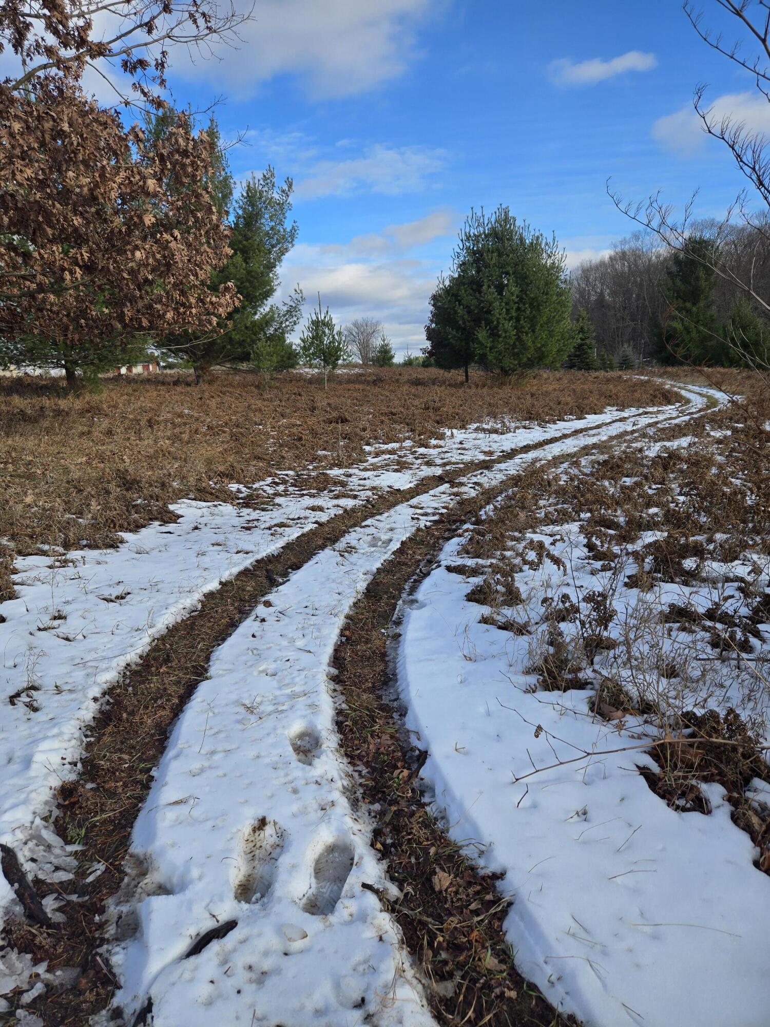 Image 2: 20241208_141626