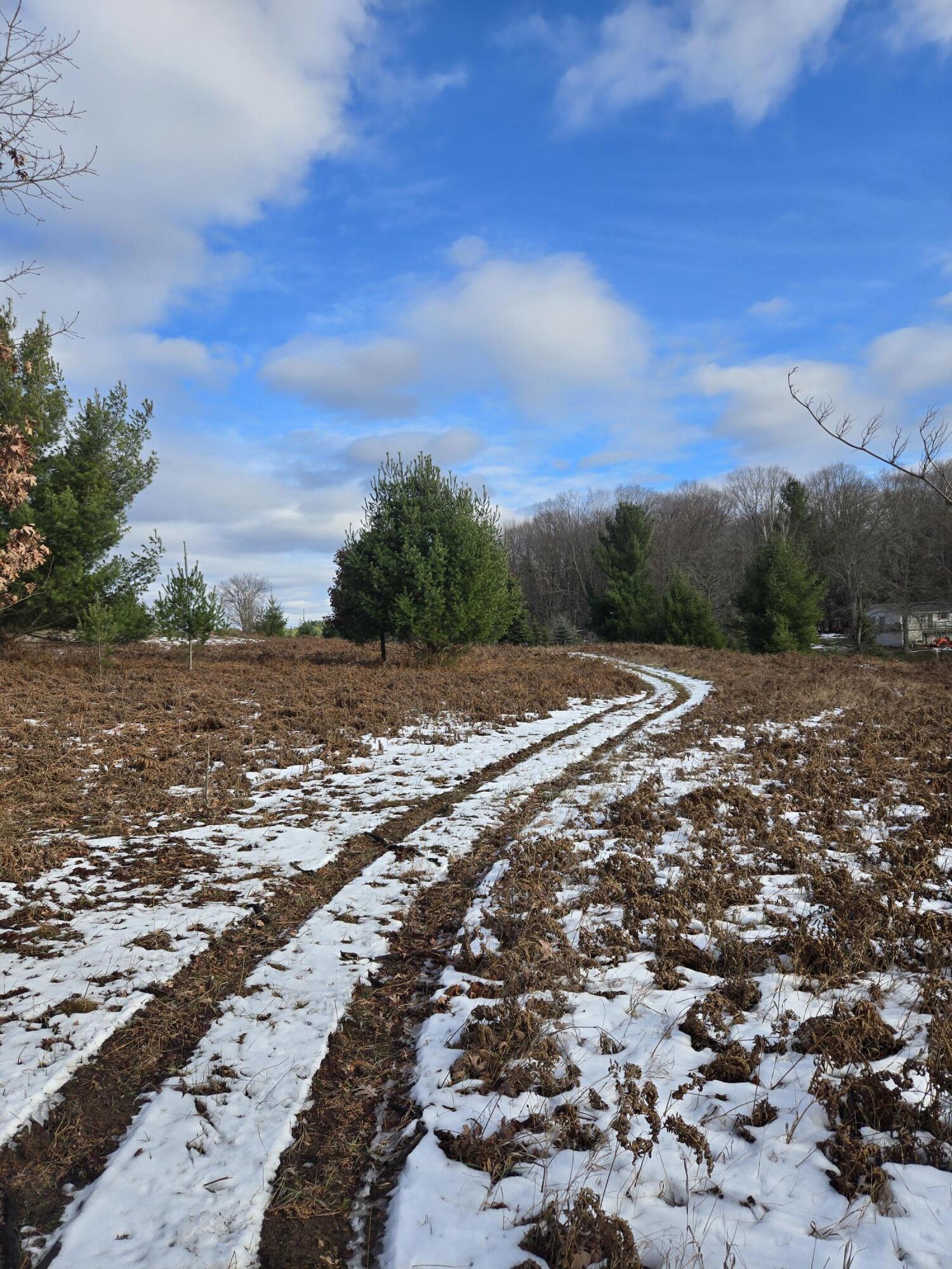 Image 4: 20241208_141151