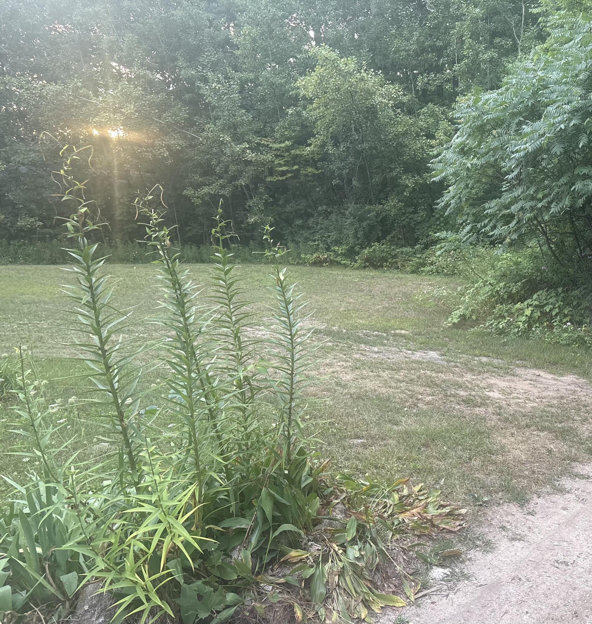 Image 1: Summit Court