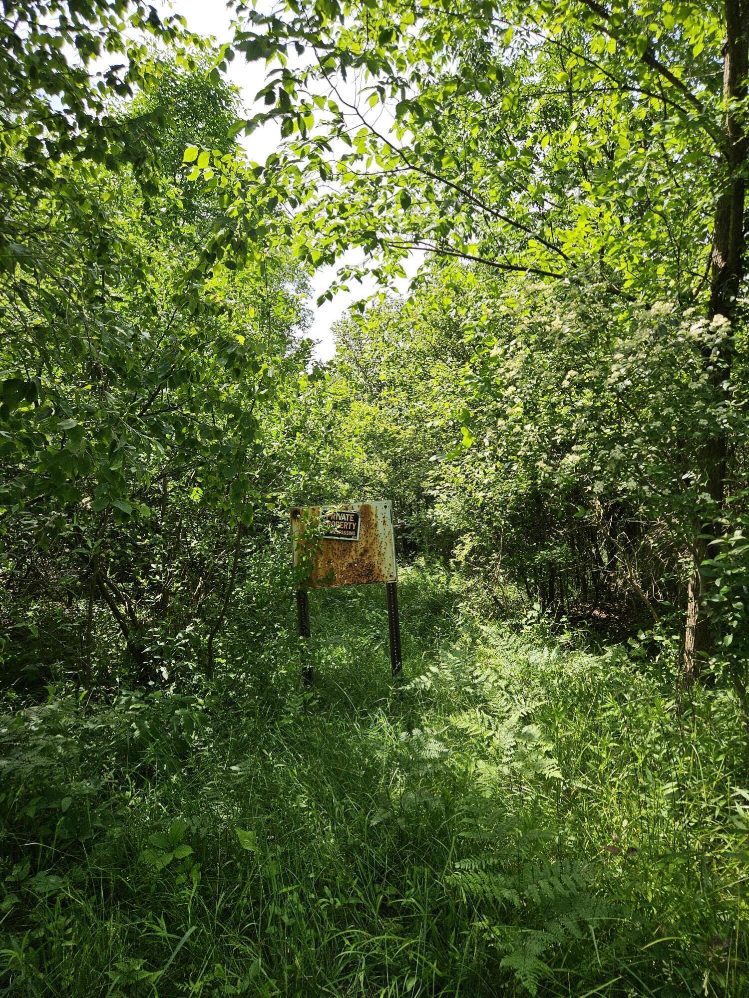 Image 2: 20240613_161516