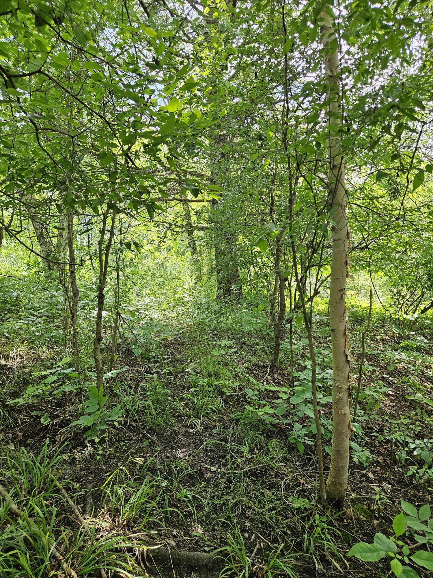 Image 3: 20240613_161401