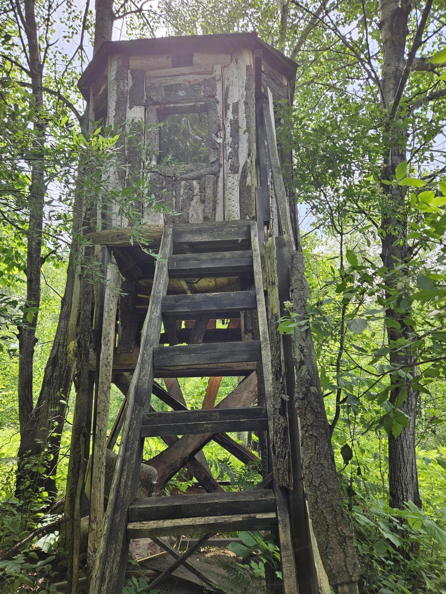 Image 4: 20240613_160910