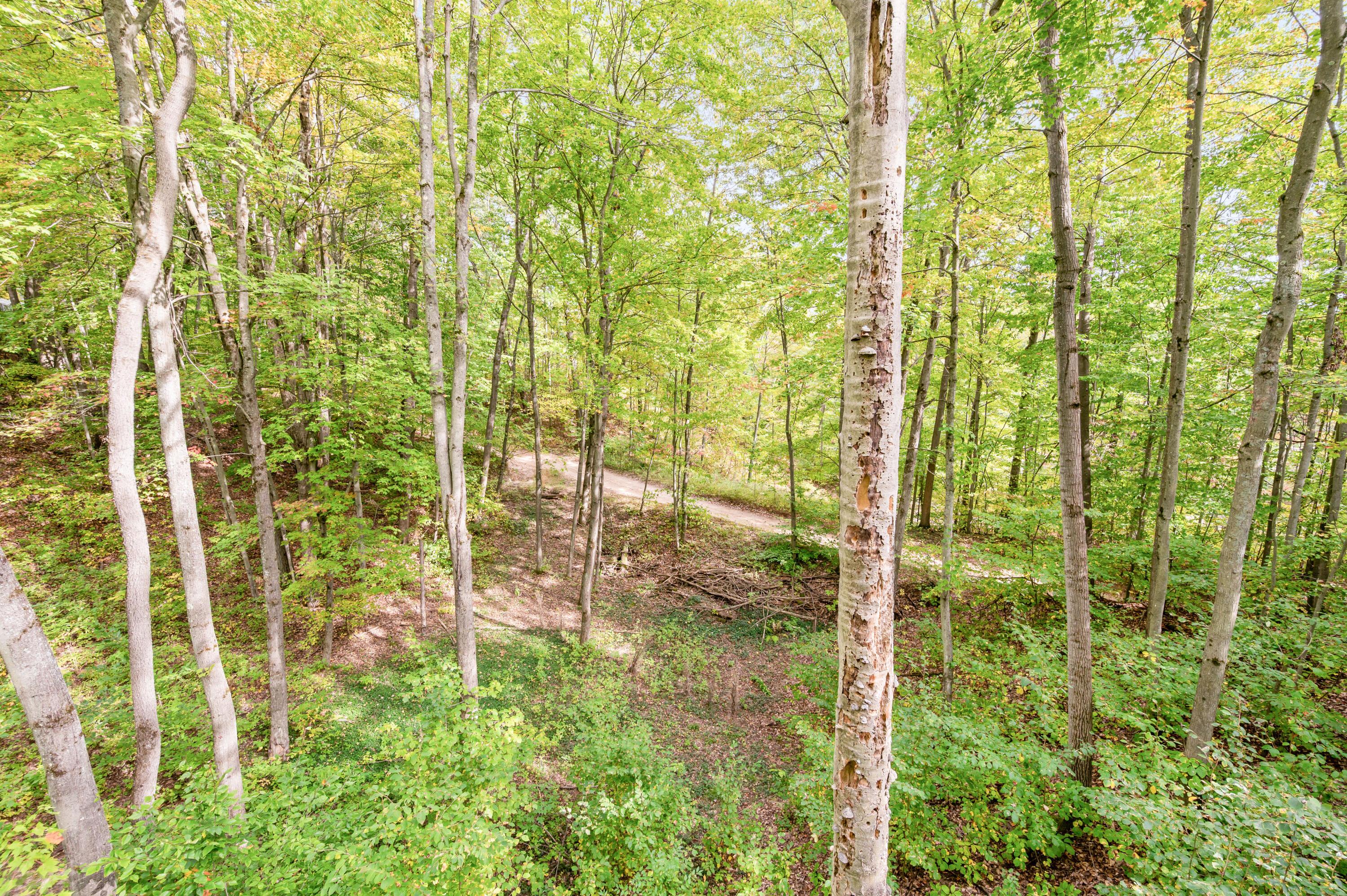 Image 4: 132-ShoresDr-Leroy-9