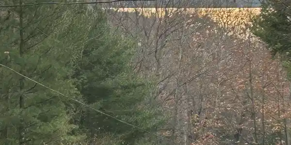 00 Mountain Road