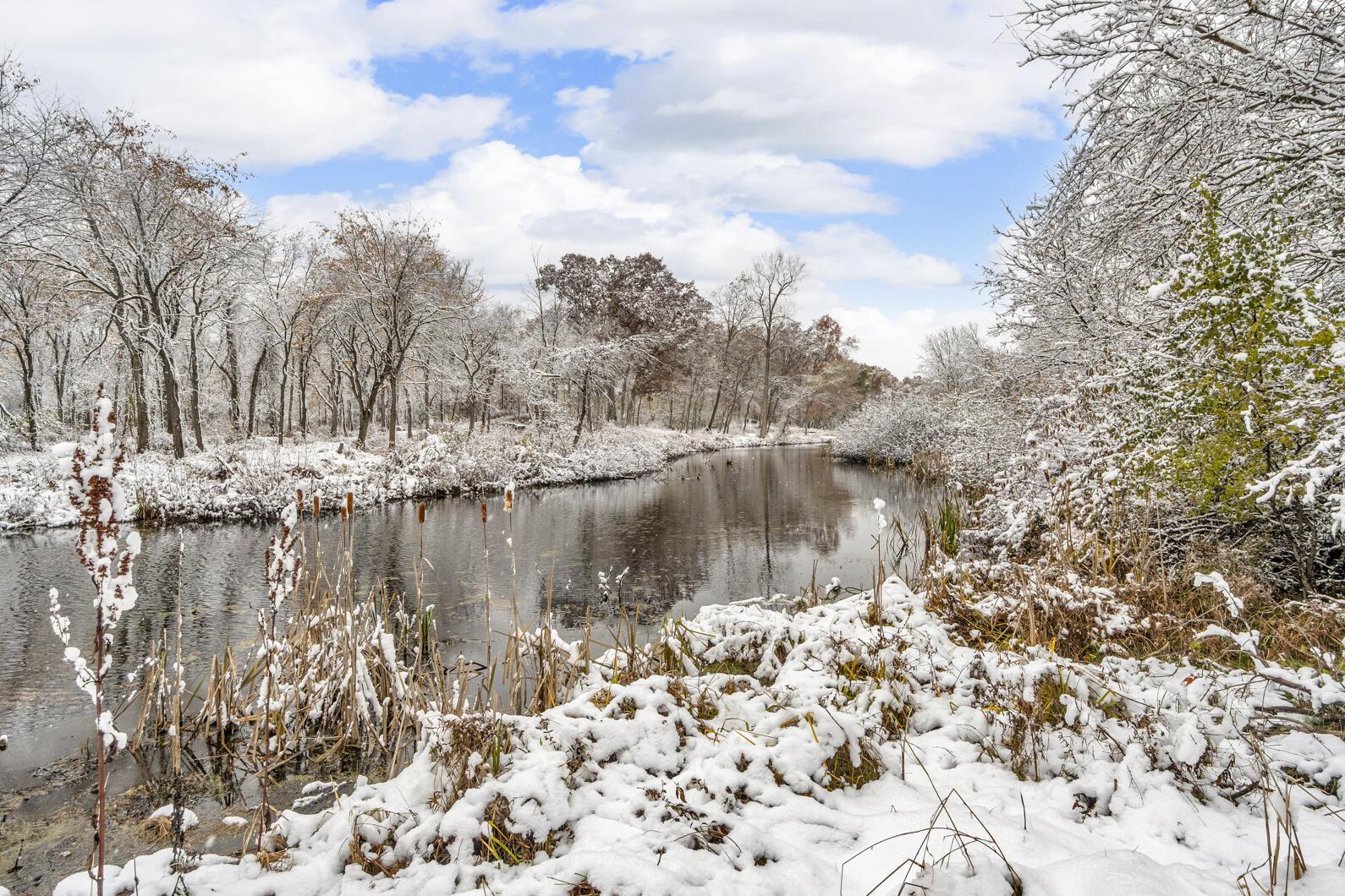 Image 3: 1064 Lake Marie Dr Horton MI -49