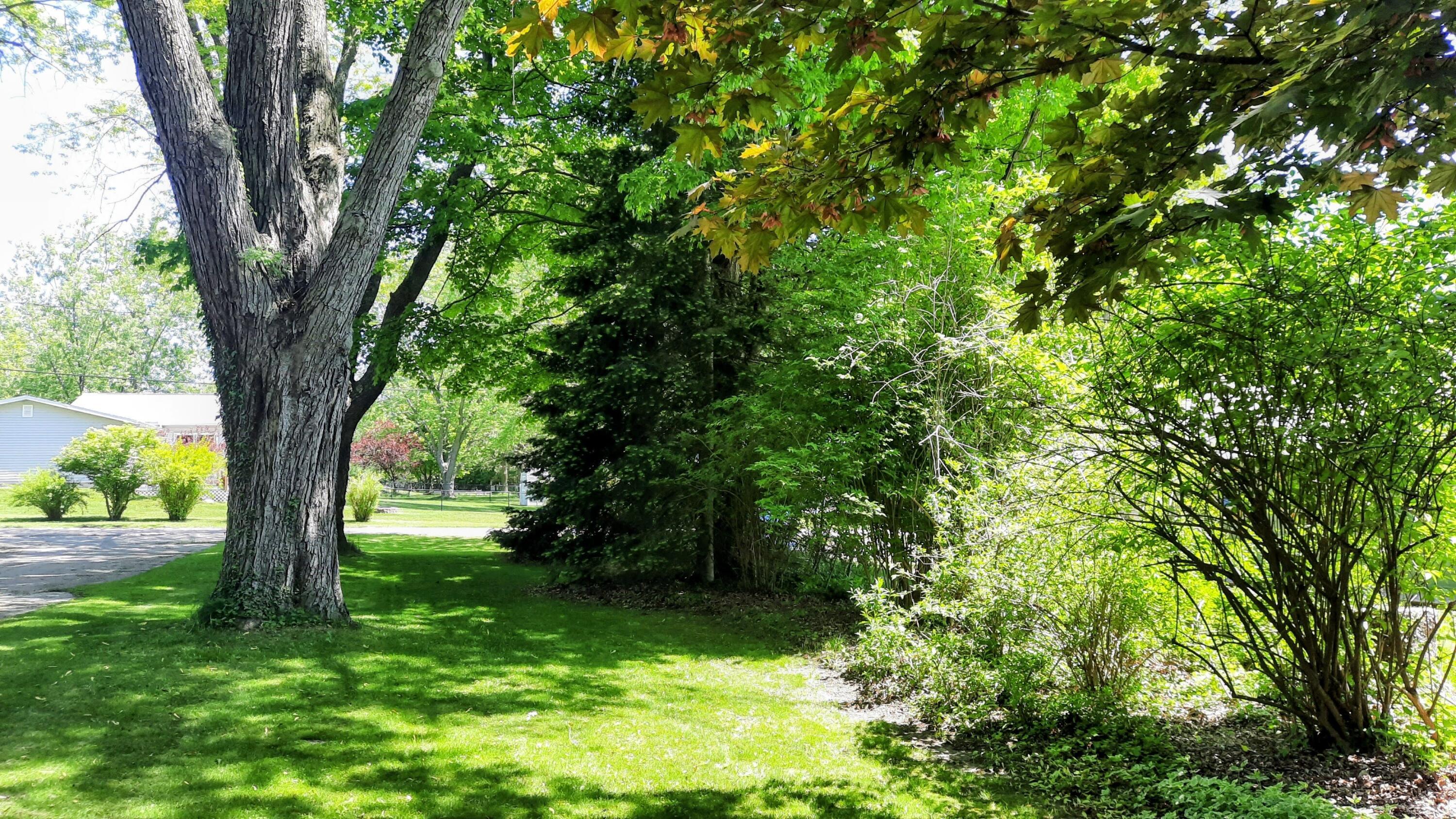 Image 3: Serene Setting