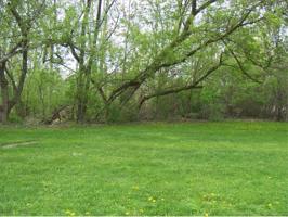 00 Orchard Lake