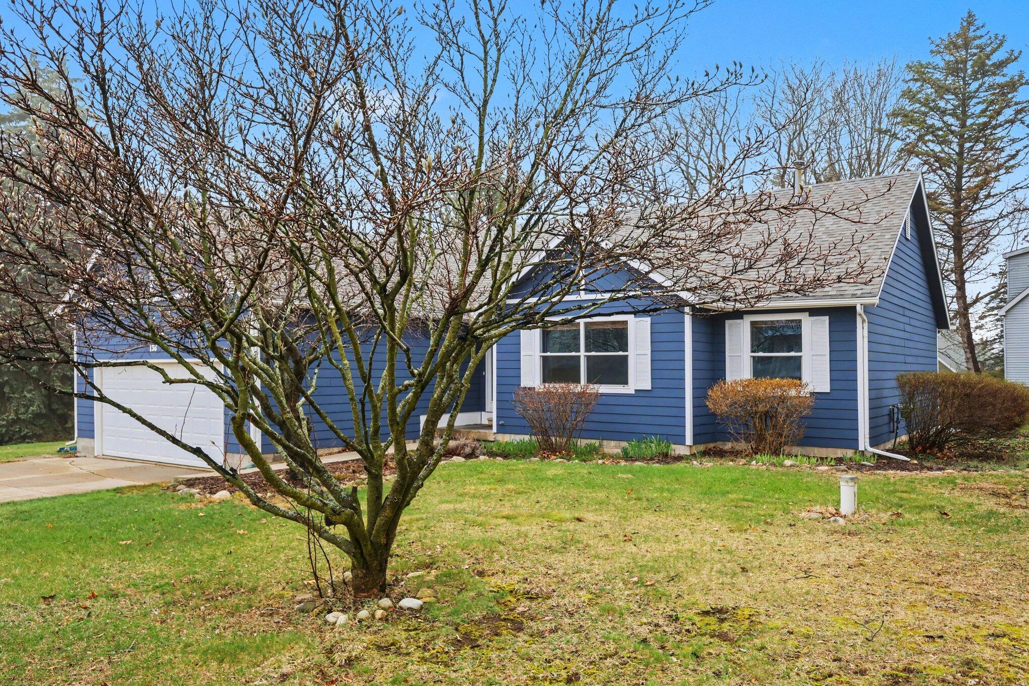 Image 4: 004_file_1517