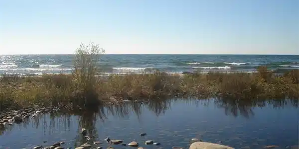 0000 E BASS COVE RD Island