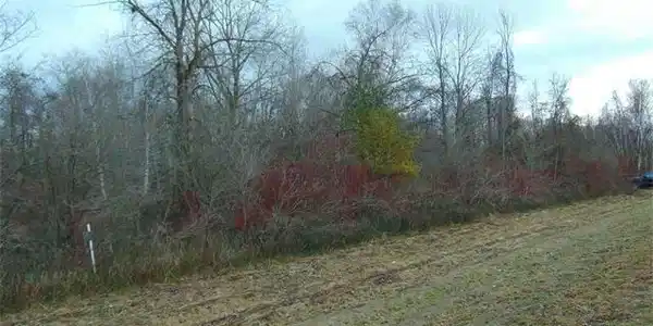 0 M-25