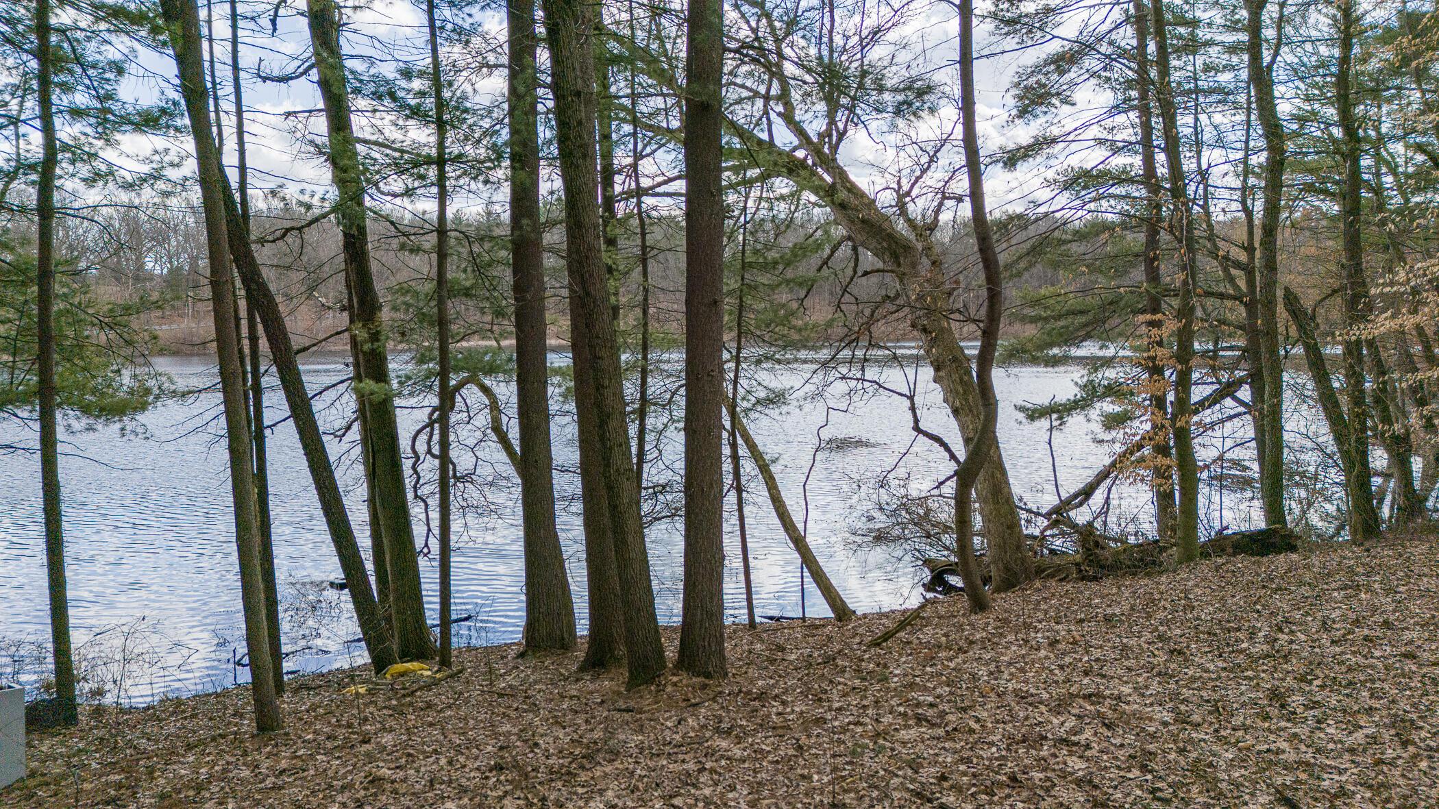 Image 3: Lake Views