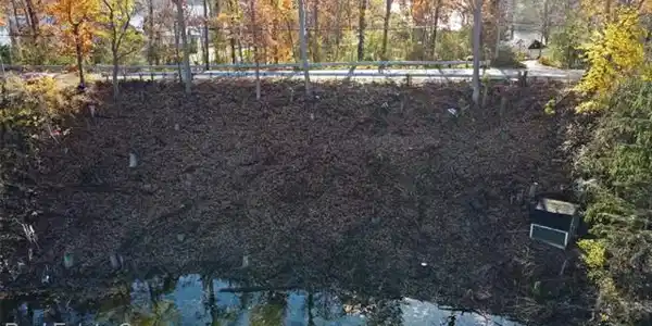 V/L - Lot 120 Central Drive