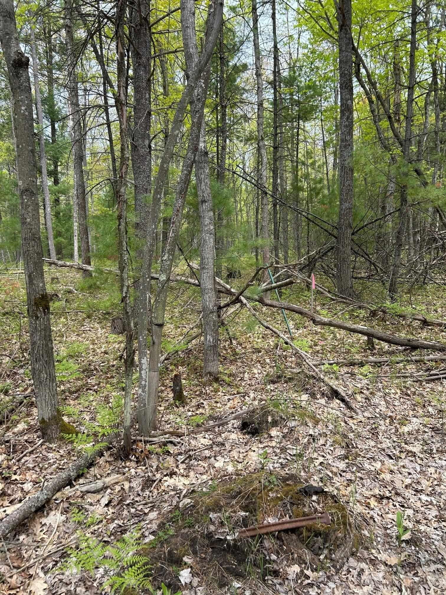 Image 1 Image 1
