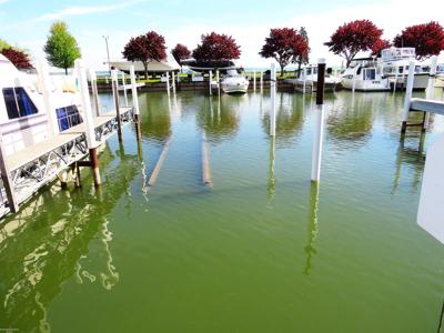 41700 Conger Bay #162 Drive