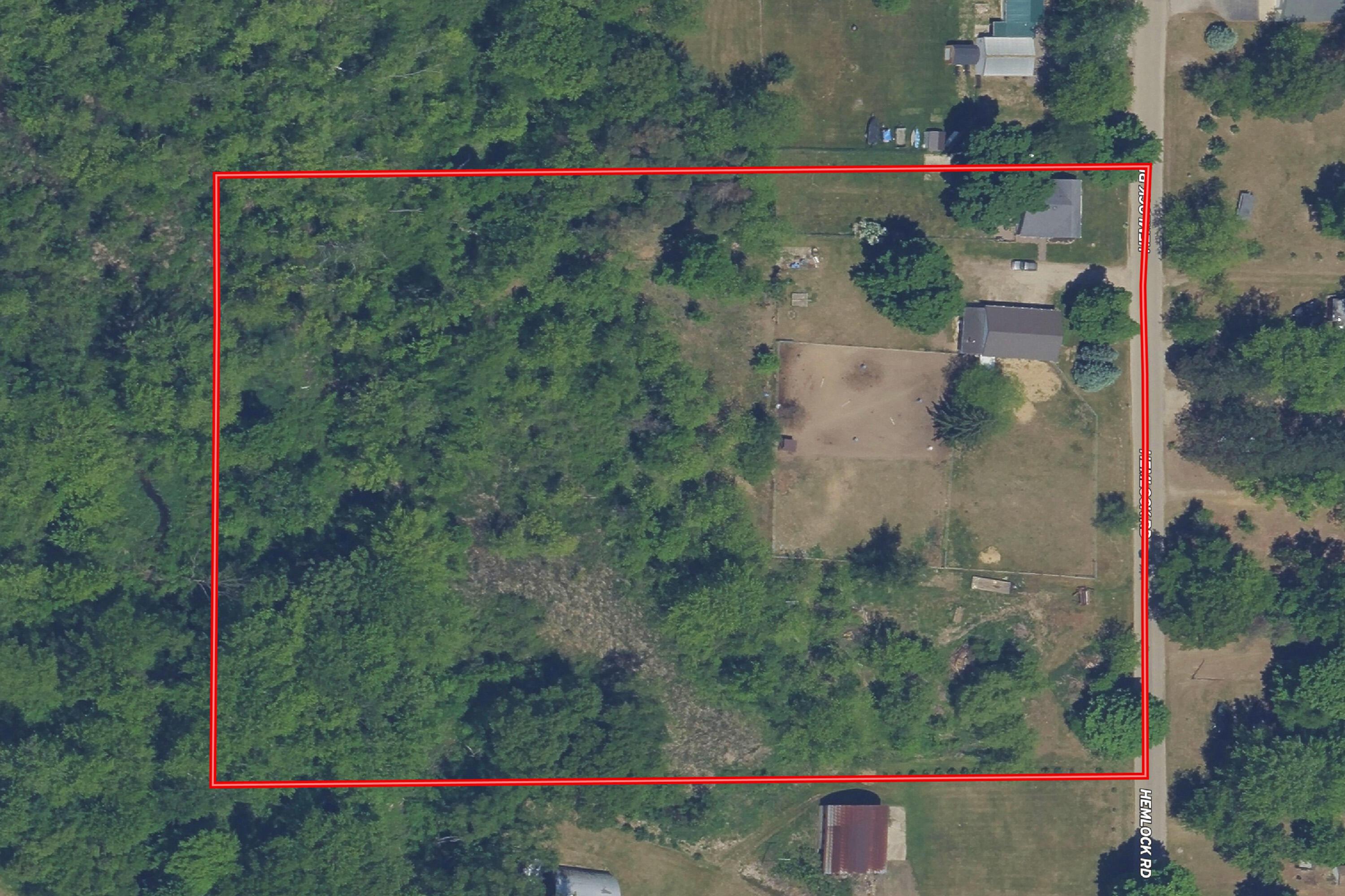 Image 2: HEMLOCK copy