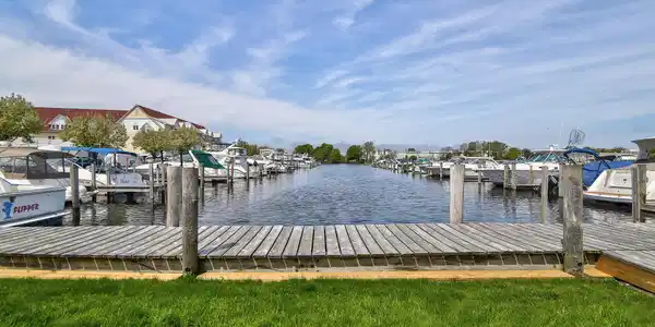 Image 3: 917 W Savidge St #11, Spring Lake-3
