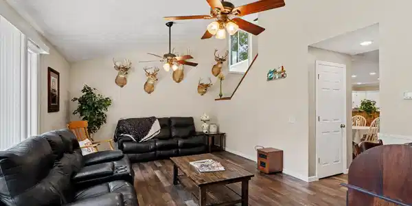 Image 4: 004_file_7952