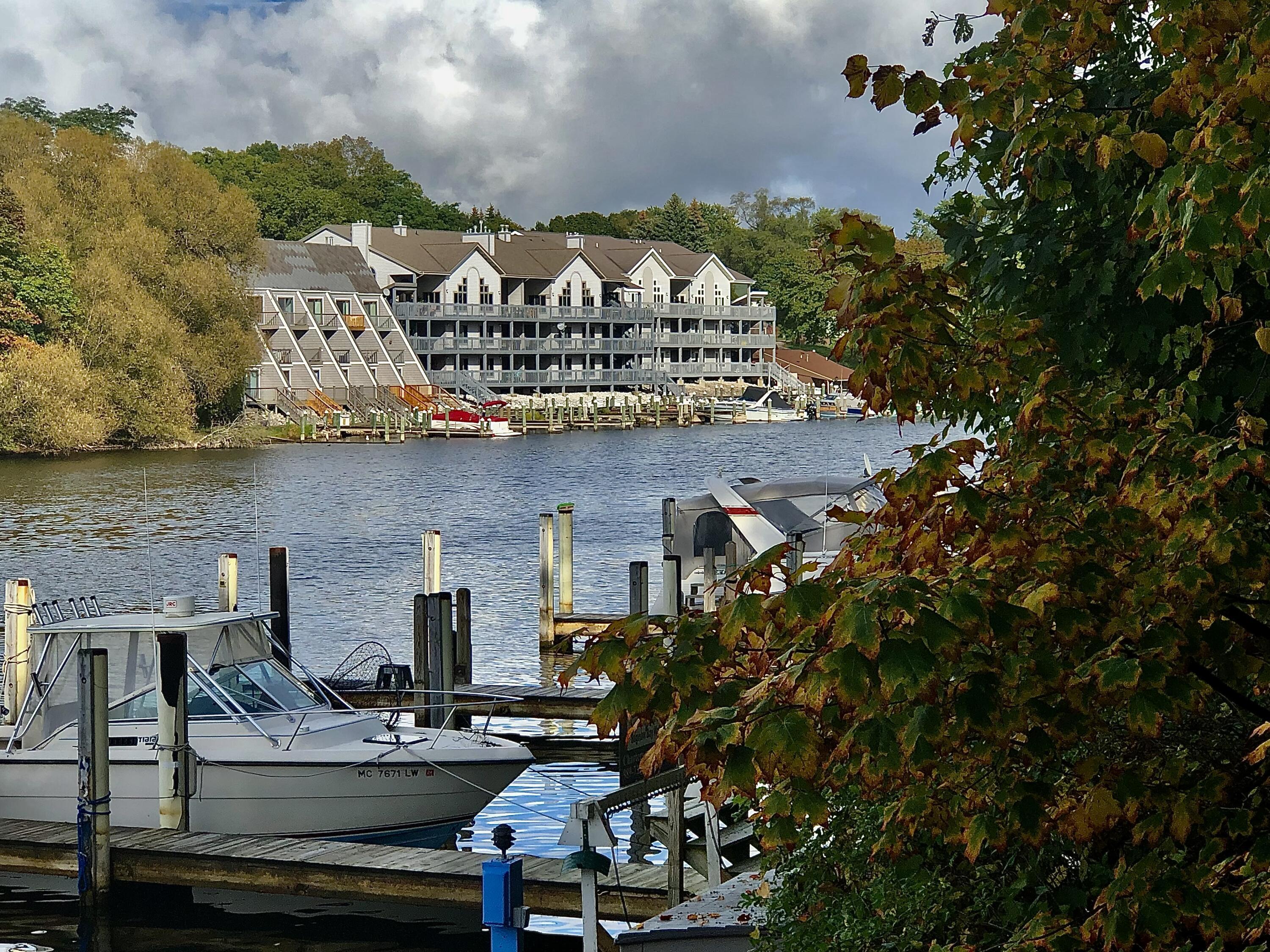 Image 2: View from across the River