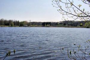 LOT 19 Oak Shore