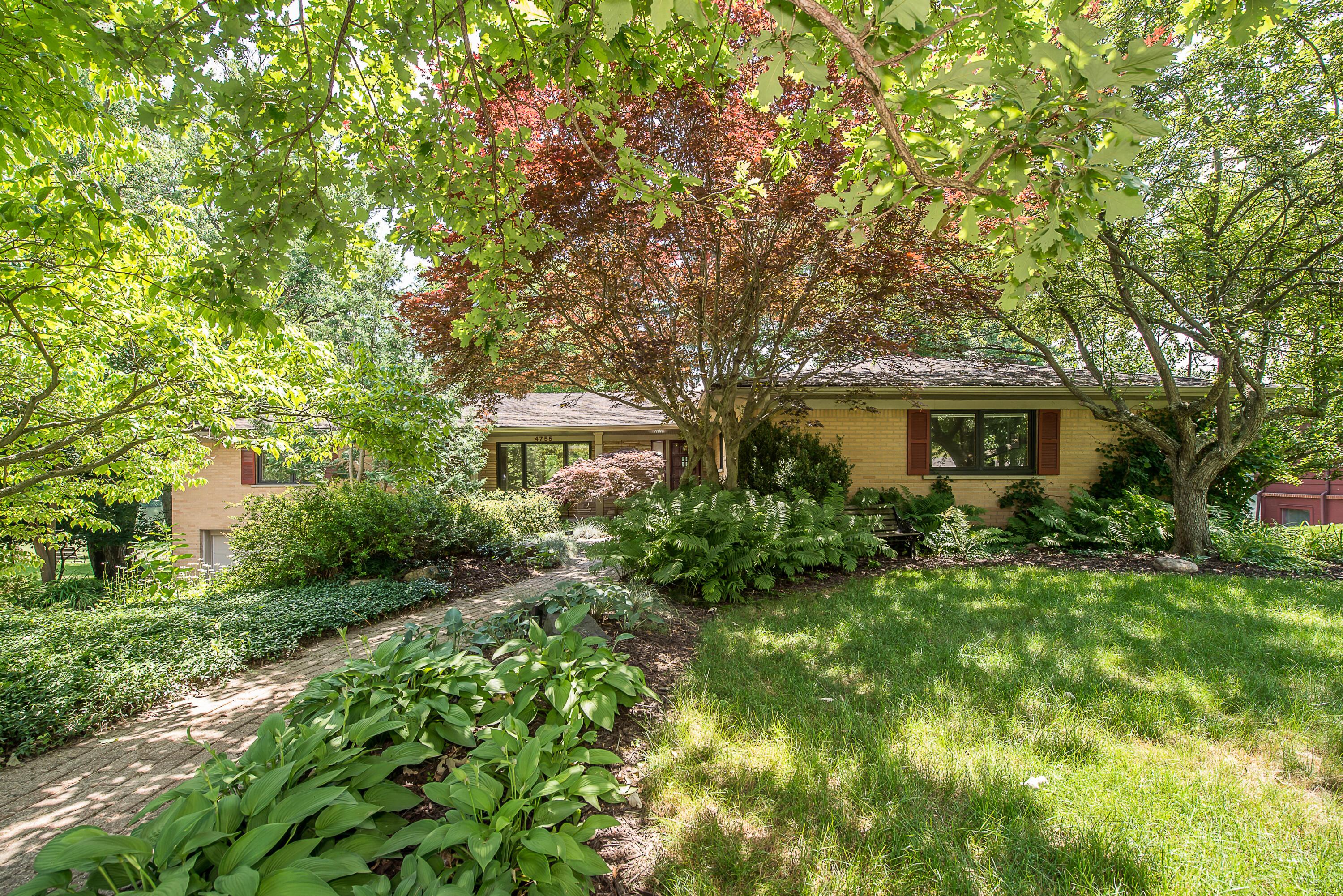 Image 1: Front Yard Full of Trees And Beauty