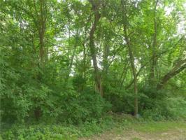 000 VAC lots Edwood Ave.