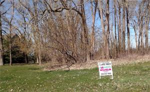 VACANT STEEPHOLLOW Drive