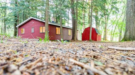 17341 Old Logging Road