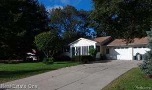1465 FLAMINGO