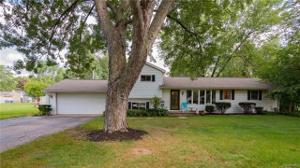 9250 LITTLE FARM Drive