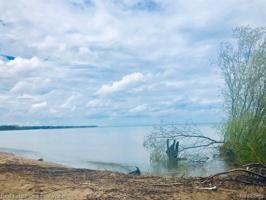 VL Lakeshore S Road