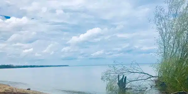 VL Lakeshore S Road