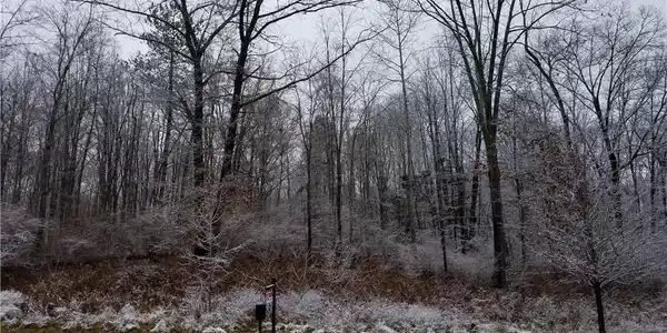 11936 Scenic Valley