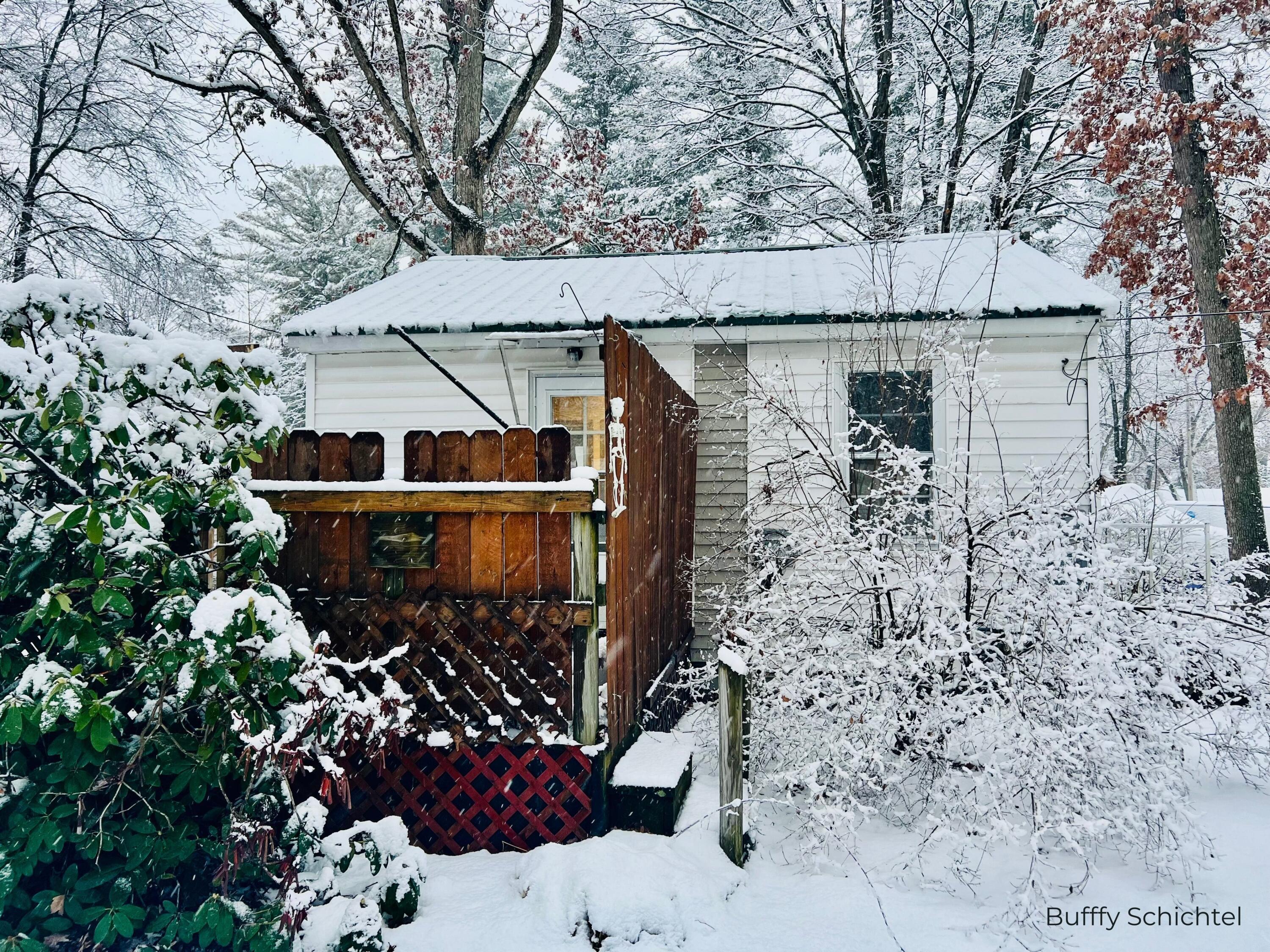 Image 4: Bufffy Schichtel