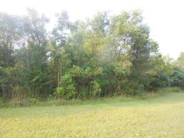 4568 Lake Pines Lane