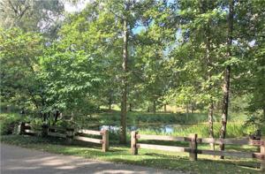 8170 Towering Pines Drive