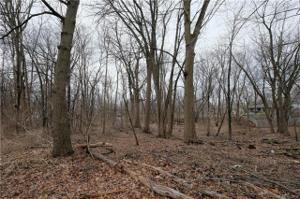 Lot 12 Cedar Avenue