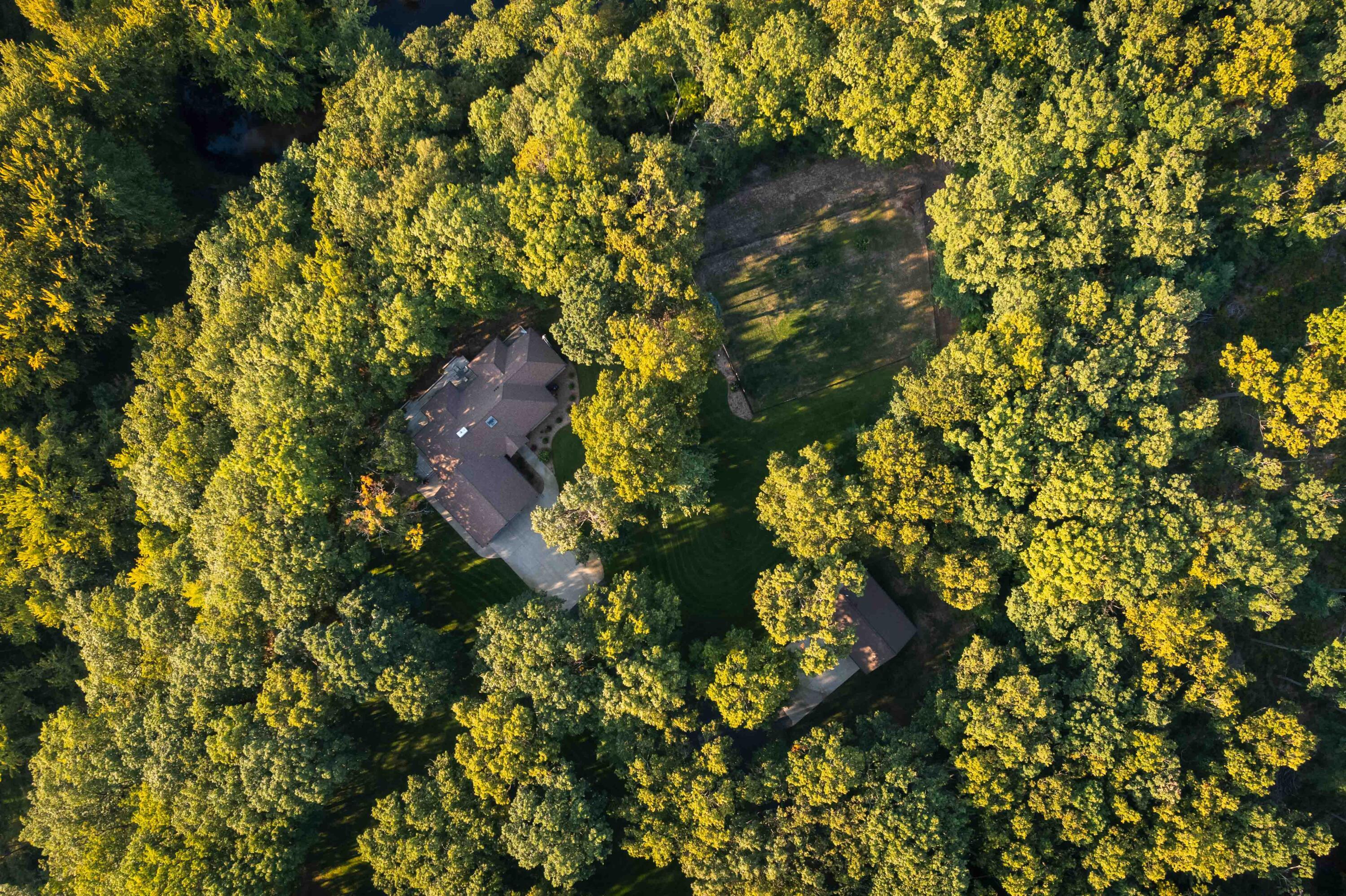 Image 3: DJI_0583