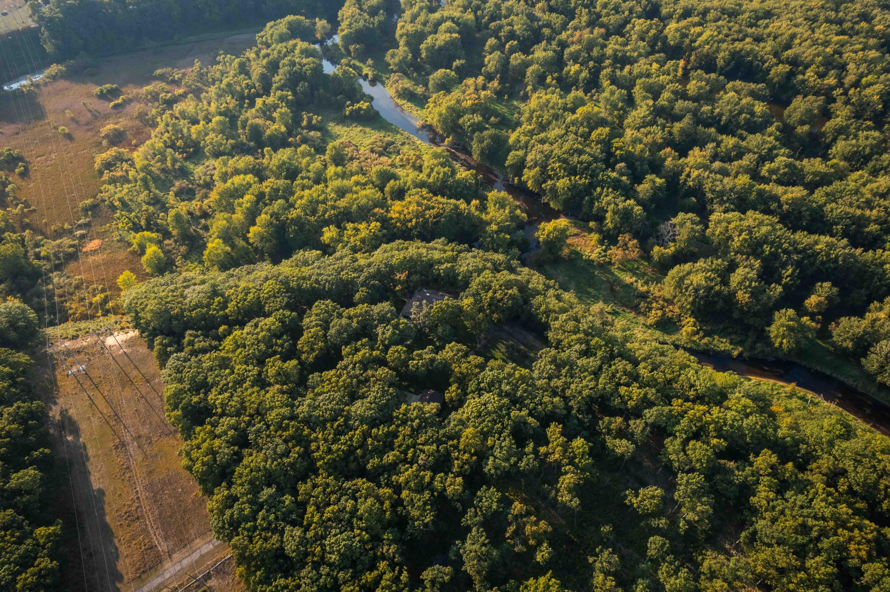 Image 4: DJI_0593