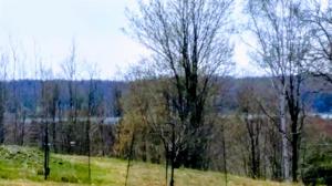 3.3 ACRES Vanessa's Way
