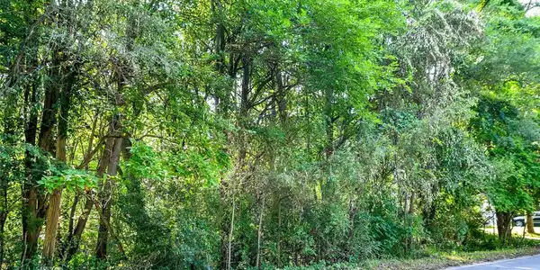 000 Pine Tree Road
