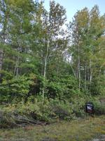 Lots 264 and 265 Pineview Drive Drive