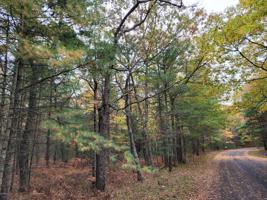 Mack Road