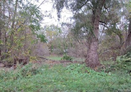 VACANT LAND TACKELS
