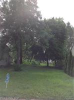 0 Woodbine