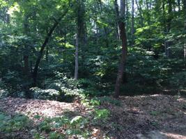 Dunewood Drive