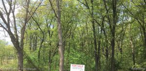 4534 MAYBEE Road